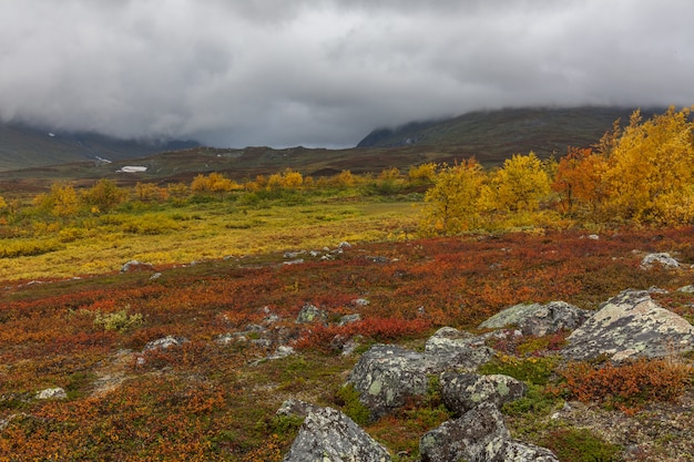 Jesienny widok na Park Narodowy Sarek, Laponia, hrabstwo Norrbotten, Szwecja, w pobliżu granicy z Finlandią, Szwecją i Norwegią. selektywna ostrość