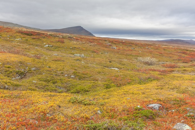 Jesienny widok na Park Narodowy Sarek, Laponia, Hrabstwo Norrbotten
