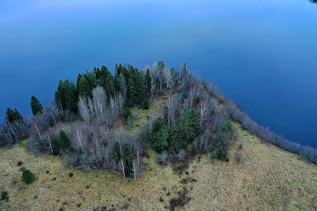 jesienny widok rzeki z lasu dronów, panorama krajobrazu z lotu ptaka