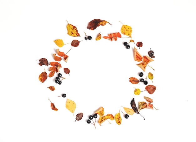 Jesienny wieniec z jesiennych liści i jagód na białym tle