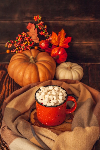 Jesienny wystrój na drewnianym tle: kubek z kakao i piankami, szalik w kratkę, dynie i jesienne liście