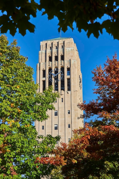 Zdjęcie jesieńska wieża zegarowa kampusu z żywymi liśćmi uniwersytet michigan