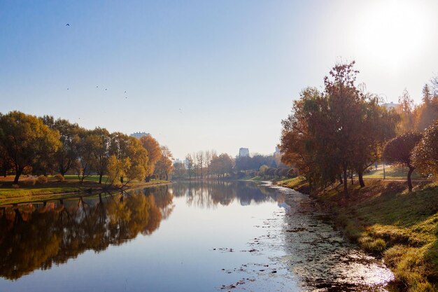 Zdjęcie jesieński krajobraz rano na rzece czyste niebo drzewa w złotych liściach