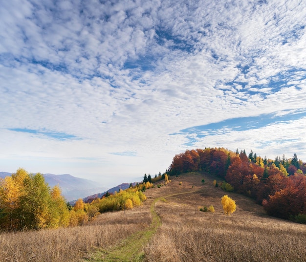 Jesieński krajobraz z drogą w górach