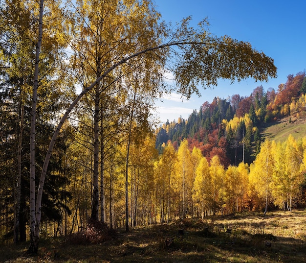 Jesieński krajobraz z lasami liściastymi w górach