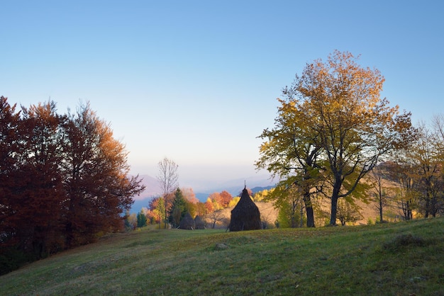 Jesieński krajobraz z stokiem siana