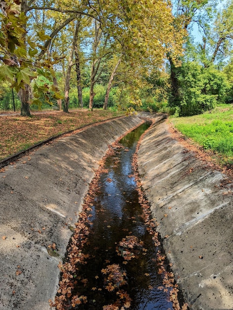 Jesieńskie kolory w parku