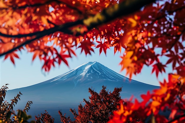 Jesieńskie liście na górze Fuji