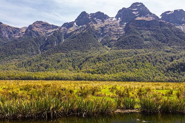 Zdjęcie jeziora fiordland jezioro w nowej zelandii