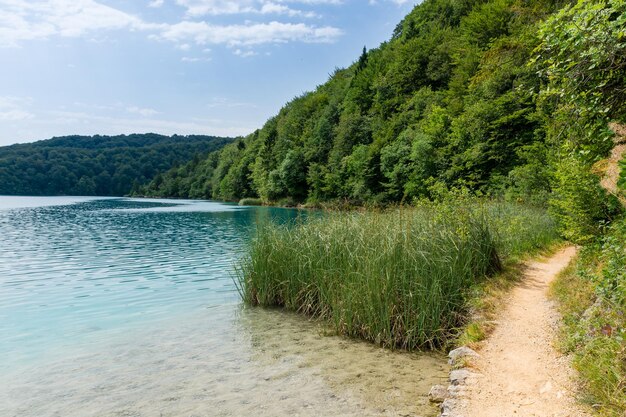 Zdjęcie jeziora plitwickie w chorwacji piękny letni krajobraz z turkusową wodą