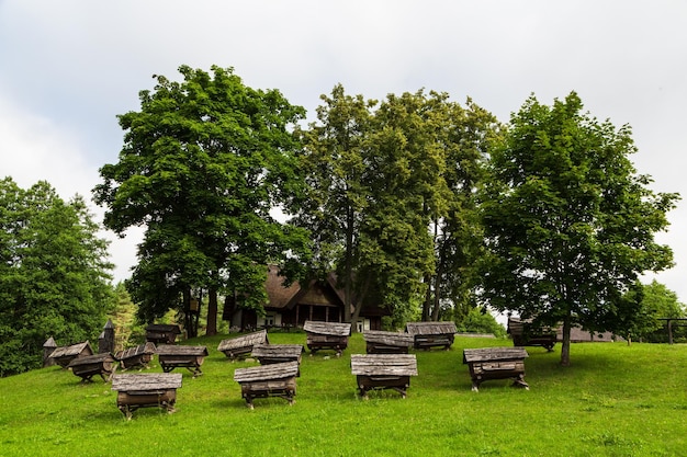 Jeziora w Parku Narodowym Auktaitija na Litwie