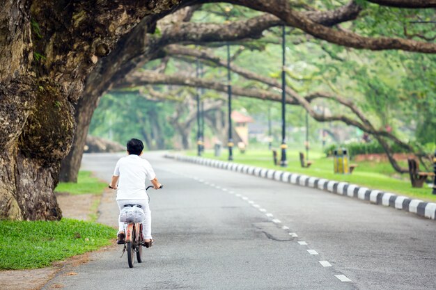 Jeziorny Ogród Przy Taiping Malaysia