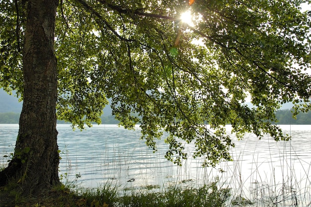 Jezioro Banyoles