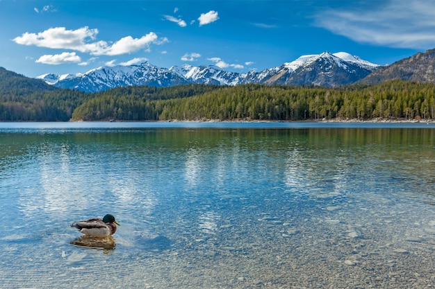 Jezioro Eibsee, Niemcy