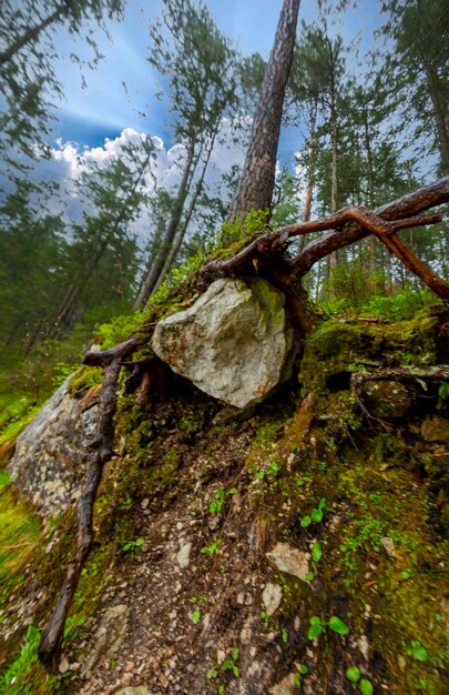 Jezioro Eibsee z pasmem górskim Zugspitze