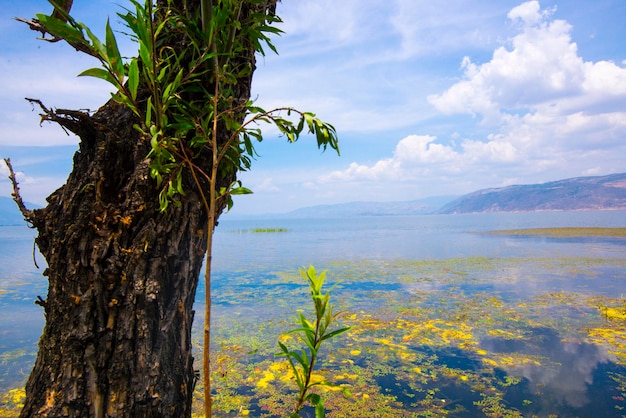 Jezioro Erhai w Dali Yunnan w Chinach