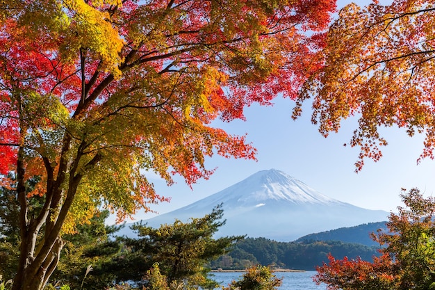 Jezioro i Fujisan jesienią