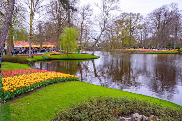 Jezioro i kwiaty tulipanów w parku Keukenhof Lisse Holland Holandia