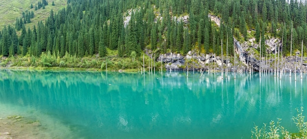 Jezioro Kaindy w systemie górskim Tien Shan, Kazachstan