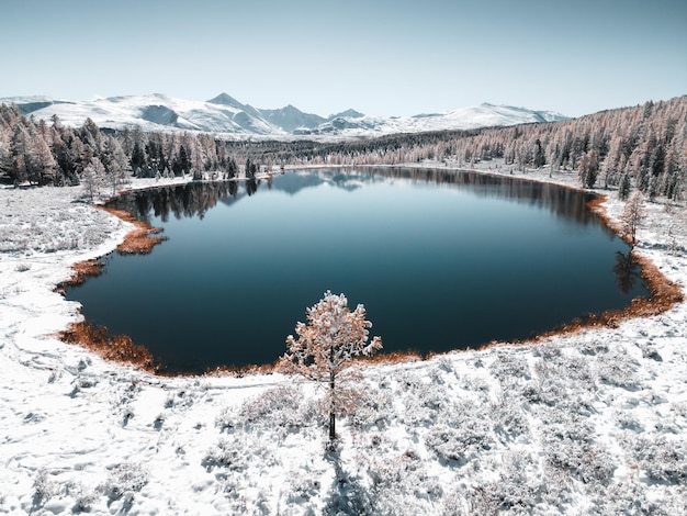 Jezioro Kidelu w górach Ałtaj Syberia Rosja Ośnieżone drzewa i góry