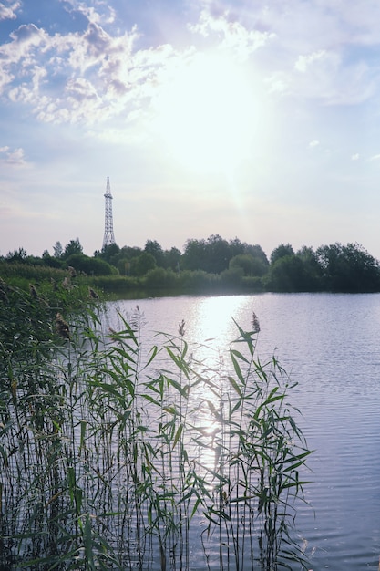 Jezioro Krajobrazowe. Tekstura Wody. Jezioro Jest O świcie. Ujście Rzeki U Zbiegu Jeziora.