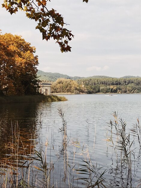 Zdjęcie jezioro krajobrazowe z naturą i domem