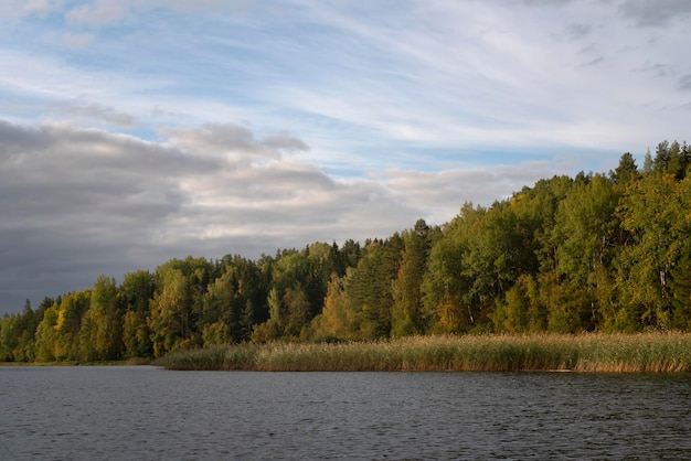 Jezioro Ladoga w pobliżu wioski Lumivaara w słoneczny jesienny dzień Ladoga skerries Republika Karelia Rosja