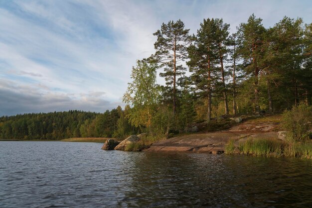 Jezioro Ładoga w pobliżu wsi Lumivaara w jesienny dzień szkiery Ładoga Lakhdenpokhya Karelia Rosja