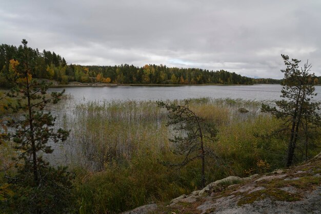 Jezioro Ładoga w pobliżu wsi Lumivaara w pochmurny jesienny dzień Ładoga szkiery Republika Karelii Rosja