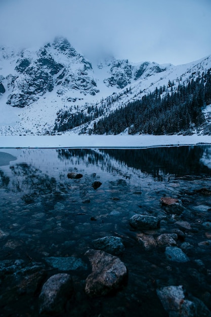 Jezioro Morskie Oko położone w górzystej okolicy, otoczone śnieżnymi górami i wysokimi drzewami, tworzące wspaniały krajobraz naturalny z odbiciem nieba w czystej wodzie Tatra Polska