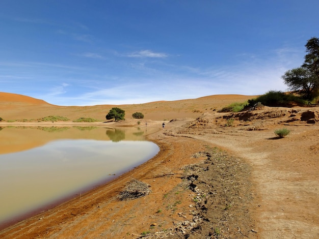 Jezioro Na Wydmach Pustynia Namib Sossusvlei Namibia