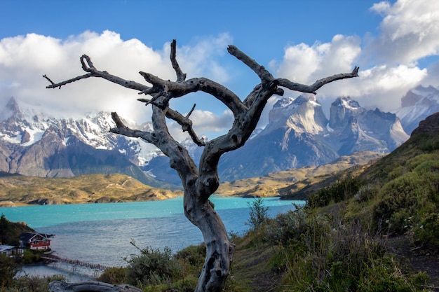 Jezioro Pehoe w chilijskim parku narodowym Torres del Paine w Patagonii