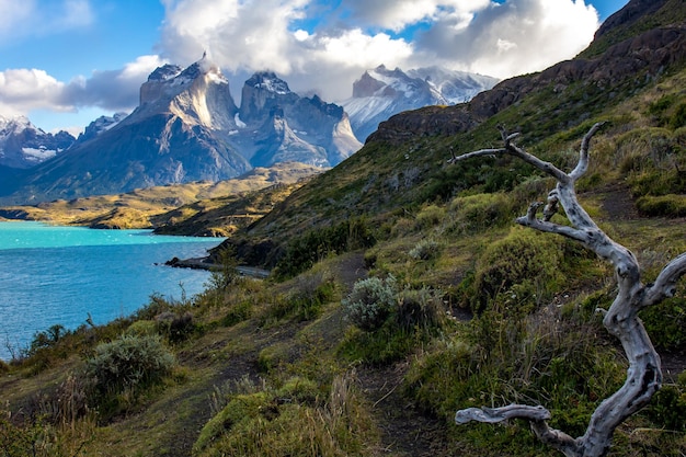 Jezioro Pehoe W Chilijskim Parku Narodowym Torres Del Paine W Patagonii