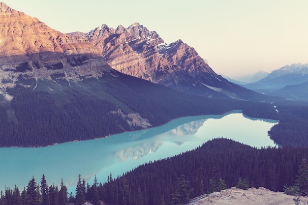 Jezioro Peyto w Parku Narodowym Banff, Kanada