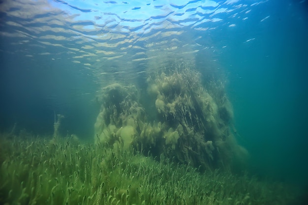 Jezioro Podwodny Krajobraz Abstrakcja / Niebieska Przezroczysta Woda, Eko Ochrona Przyrody Pod Wodą
