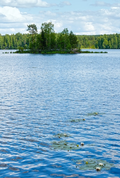 Zdjęcie jezioro rutajarvi lato widok z lasem na krawędzi i grążel (urjala, finlandia).