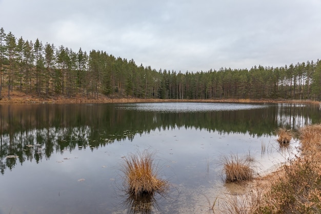 Jezioro, Spokojna Woda, Las Odbicie W Wodzie, Chmury