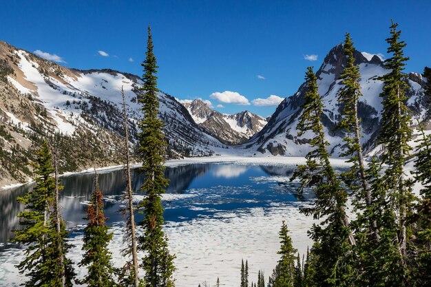 Jezioro spokoju w górach w sezonie letnim Piękne naturalne krajobrazy