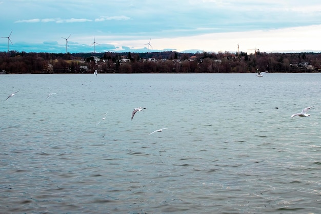 Zdjęcie jezioro starnberg w bawarii niemcy molo z alpami w tle