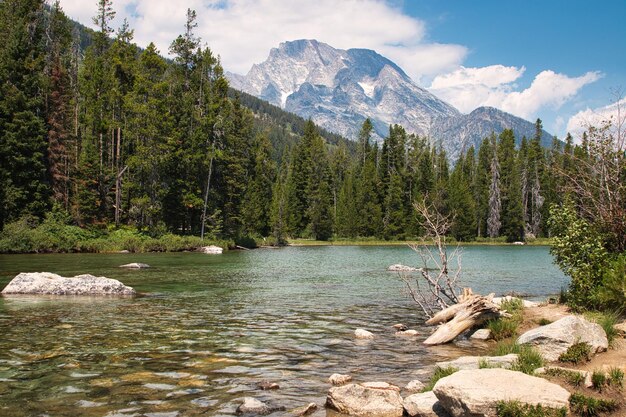 Zdjęcie jezioro string w parku narodowym grand tetons w wyoming