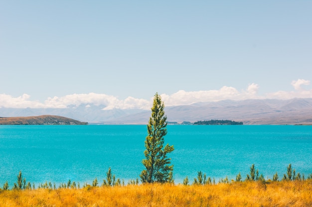 jezioro tekapo nowa zelandia