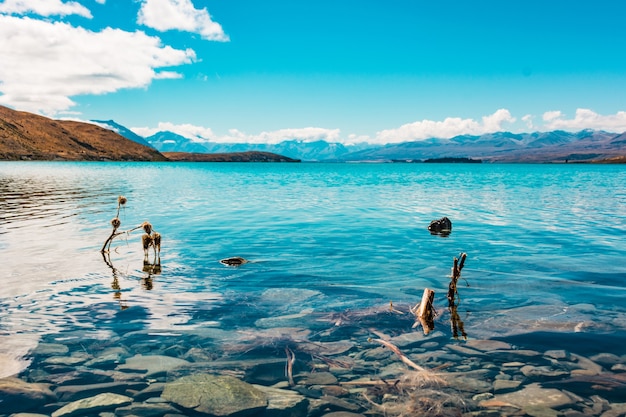 jezioro tekapo nowa zelandia