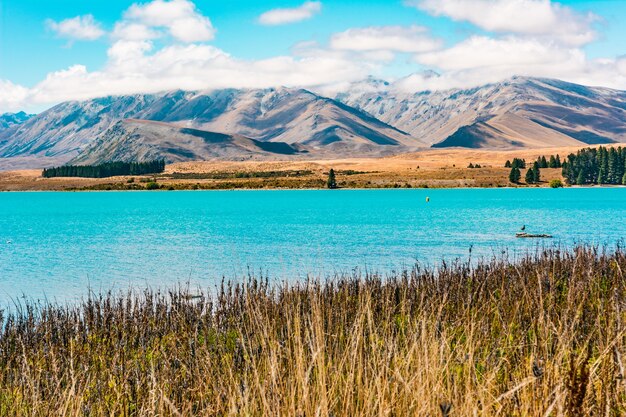 Zdjęcie jezioro tekapo nowa zelandia