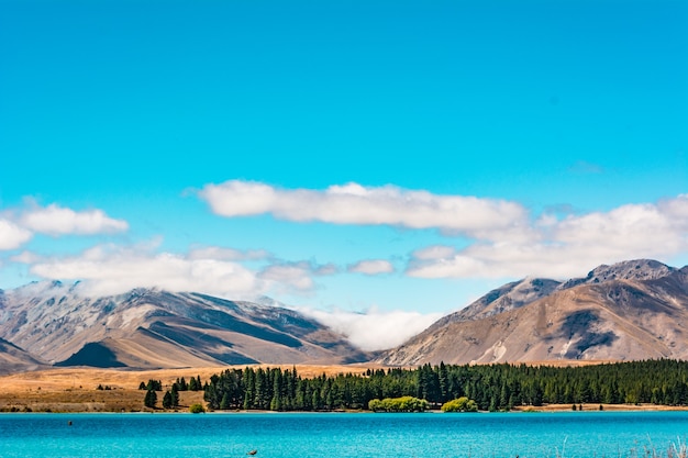 jezioro tekapo nowa zelandia