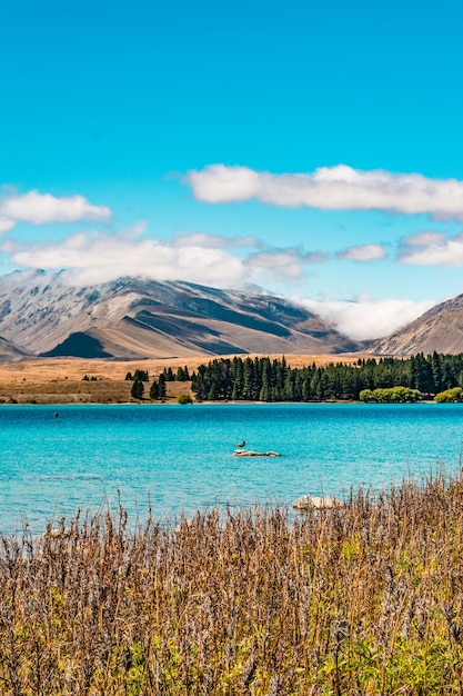 Zdjęcie jezioro tekapo nowa zelandia