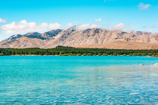 Jezioro Tekapo Nowa Zelandia