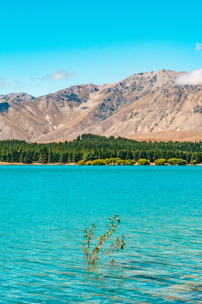 jezioro tekapo nowa zelandia