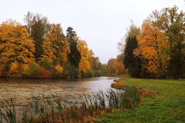 Jezioro w jesiennym parku Jesienne piękno