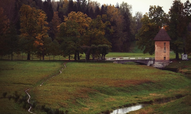 Jezioro w jesiennym parku Liście opadają