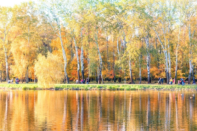 Jezioro w jesiennym parku miejskim z kolorowymi drzewami i chodzącymi ludźmi